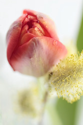 Similar image 610152