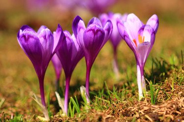 Similar image 610157