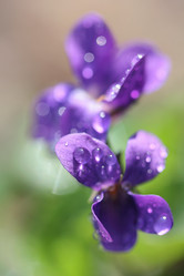 Similar image 610158