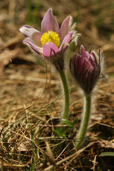 Similar image 610159