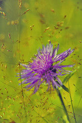 Similar image 610160