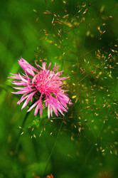 Similar image 610162