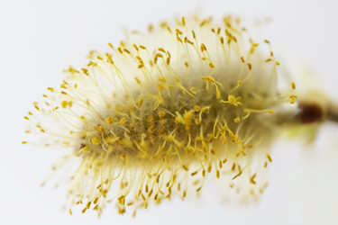 Similar image 610163