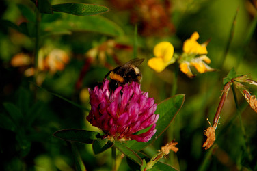 Similar image 610167