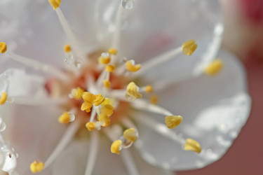 Similar image 610168