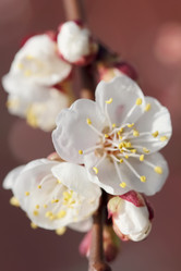 Similar image 610171