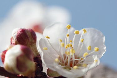 Similar image 610172