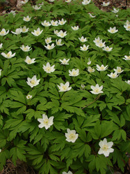 Similar image 610176