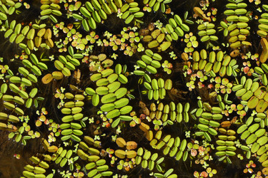 Similar image 610178