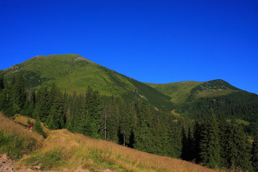 Similar image 610183