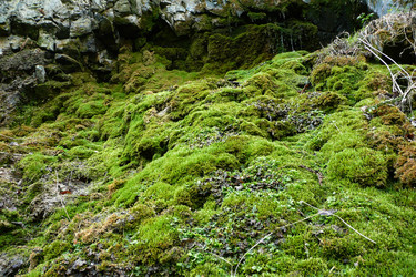 Similar image 610184