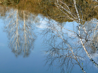 Similar image 610187