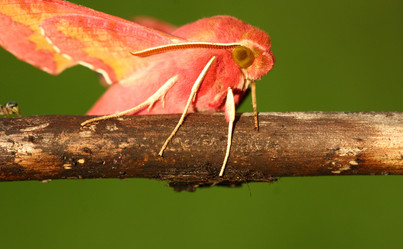 Similar image 610190