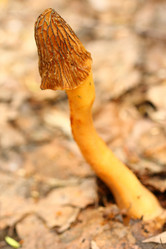 Similar image 610191