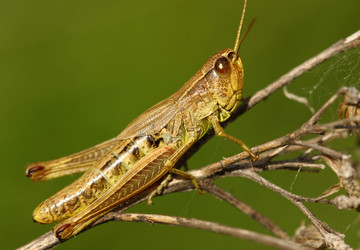 Similar image 610195