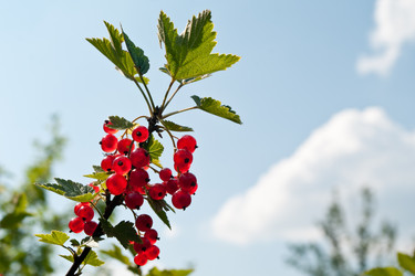 Similar image 610197