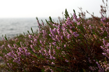 Similar image 610198