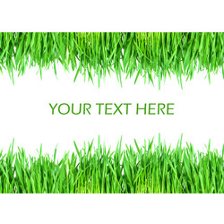 Similar image 610244