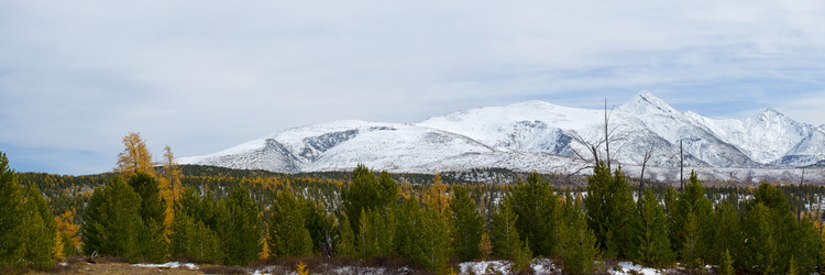 Similar image 610286