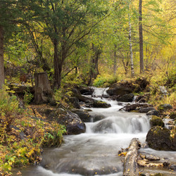 Similar image 610316