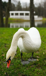 Similar image 610402