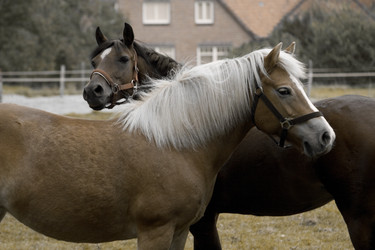 Similar image 610406