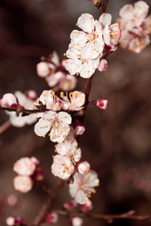 Similar image 610408