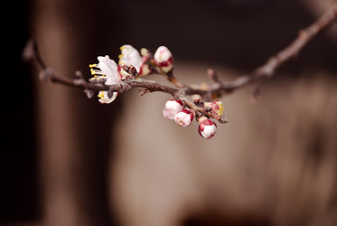 Similar image 610409