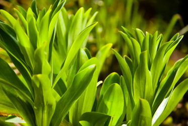 Similar image 610414