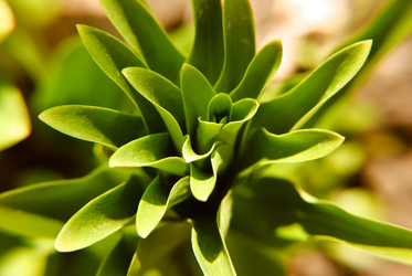 Similar image 610415