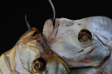 Similar image 610426