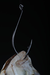 Similar image 610427