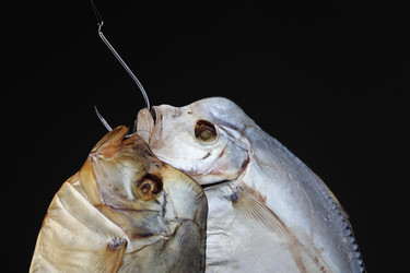 Similar image 610428