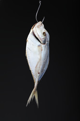 Similar image 610429