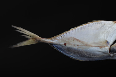 Similar image 610431