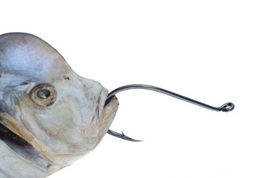 Similar image 610432