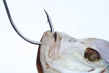 Similar image 610434