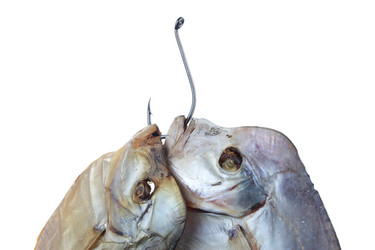 Similar image 610435