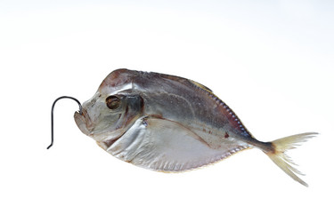 Similar image 610436