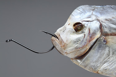 Similar image 610438