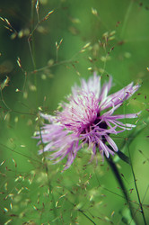 Similar image 610459