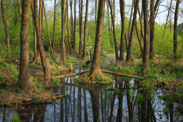 Similar image 610461