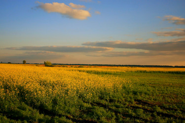 Similar image 610464