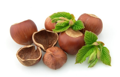 Similar image 610506