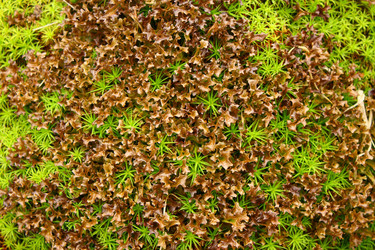 Similar image 610569