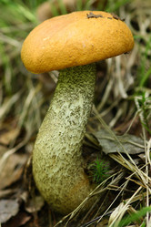 Similar image 610572