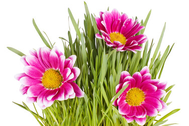 Similar image 610783