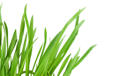 Similar image 610784