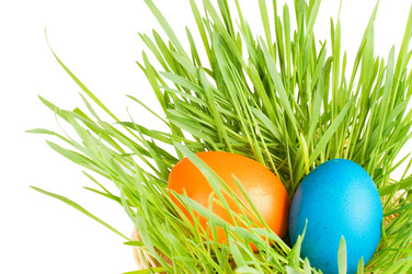 Similar image 610786