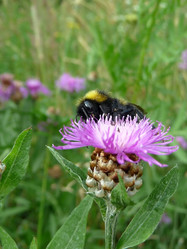 Similar image 610852